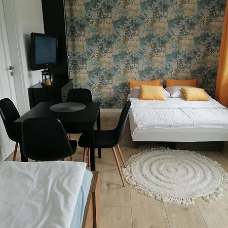 Apartament U Przewodnika Sudeckiego Душники-Здруй Екстер'єр фото
